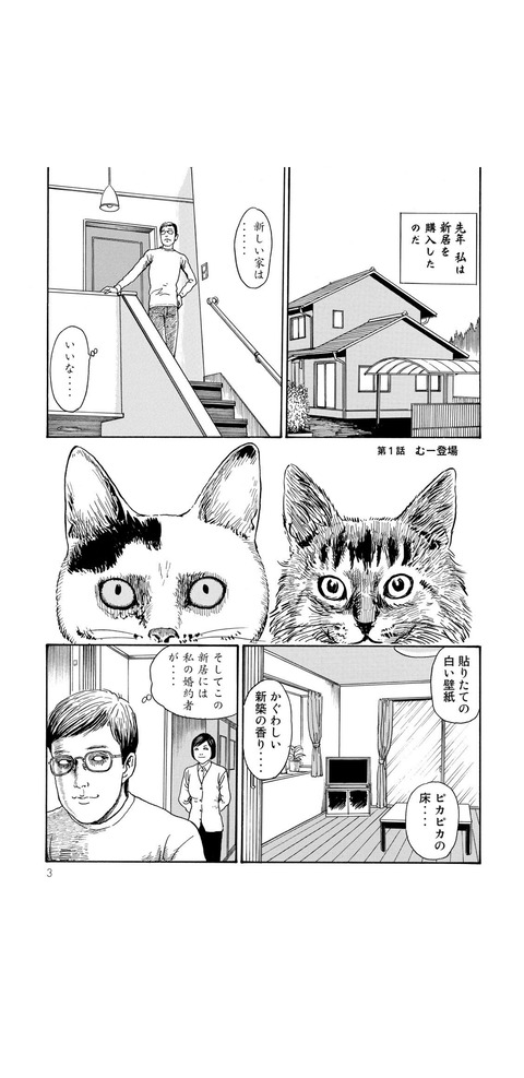 画像 犬派のホラー漫画家が猫を飼う事になり発狂 ２ch トピックス 速報まとめたよ